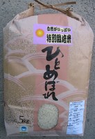 �ú��ƤҤȤ�ܤ� 