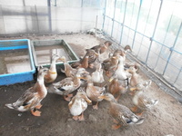 ������ñۤ���λ 