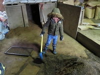 ����쵤̣��Ĺ�ˡ� 