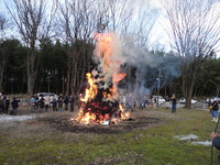 �����ο� 