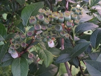 �¤�����ޤ����� 