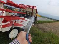 �ݽ������ѡ� 