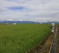 ������滶�� 