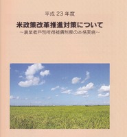 ���̽���������� 