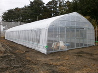 ���ĥϥ������� 