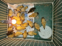 ���⿩���� 