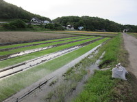 ī��ī������������϶������������� 