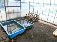 ����ο��� 