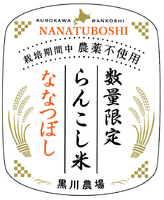 ڿ̸۹Τ󤳤 ݴԻѤʤʤĤܤ