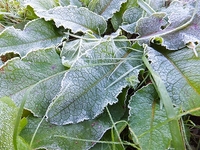 �դäѤˡ����ä���������ߤ�ޤ����� 