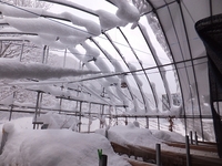 ���á�­��ʤ��� 