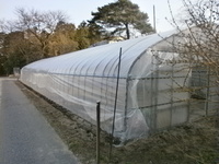 ���ĥϥ��� 