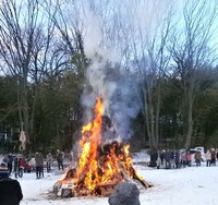 �����ο� 