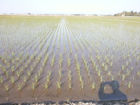 �Ŀ�����줫�� 