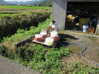 ���ܤ��ʤ�������ֿ��ˤʤ�ޤ��� 