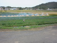 ���פޤǾƤ�����餺���� 