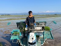 �Ŀ�����