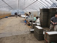 H23ǯ��μ�ޤ����ϡ� 