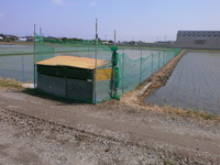 ����ξ��� 