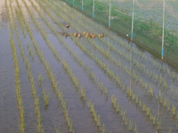 �����褯�Ż��� 