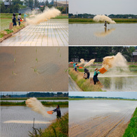 �Ƥ̤����� 