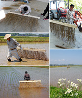 �ݤܤ��������򼫺���� 