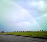 �����������Ũ�ʥץ쥼��Ȥ������줿�ҤȤȤ��� 