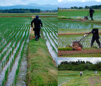 �������𴢤� 