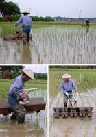 ���󥸥��ս��𵡡��̾Υ����ˤǡ��������𤷤ޤ� 