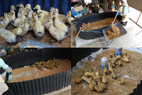 ����λ��龮�����ݽ� 