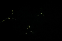 �̿����񤷤����� 