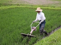 ���������ꤹ������硣 