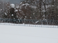 Ⱦʬ�����ޤäƤ��ޤ� 