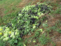 �ޤä�����ǰ�� 