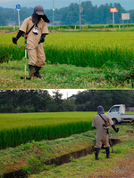 �𴢤ꡡ���� 