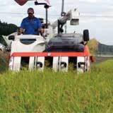 ����Х��󡢥ե��Ư�Ǥ� 