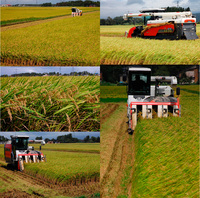 ʿ��27ǯ�����Ƥΰ𴢤곫�ϡ� 