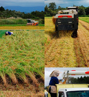 �����ͤ���ΰ𴢤� 