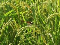 10���ۤ����ΰ�Ǥ��� 