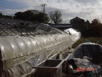 �ﳲ�Τ��ä����ĥϥ��� 