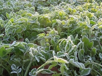 ����⥭�󥭥���䤨�Ƥ��ޤ��ޤ����� 