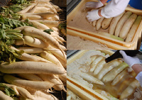 �������纬���Ҥ����� 