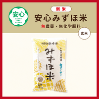 �¿��ߤ����� ��ϤΤ�����