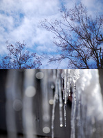 �Ķ��ȥĥ�� 