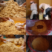 ̣���λŹ��� 