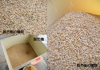 æ������μ��� 