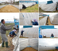 �����ѥӥˡ���ϥ�������ޤ��� 