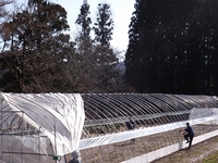 ���Ĥ⤪���������Ƥ������̤Τ�������ȤȤ�ˡ����ä��򲡤��������ä���ߤ�ơ��ȡ� 