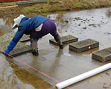 ��Ȣ��Ȣ����ǿ���ľ���¤٤ޤ� 