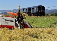 ϤԤͤ餤Ϥʤʤ˻ѤƤ뤪ƤǤ